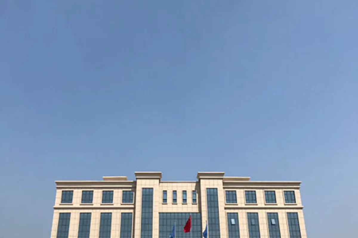 Plywood production line in Shandong, China